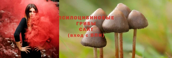 ECSTASY Армянск